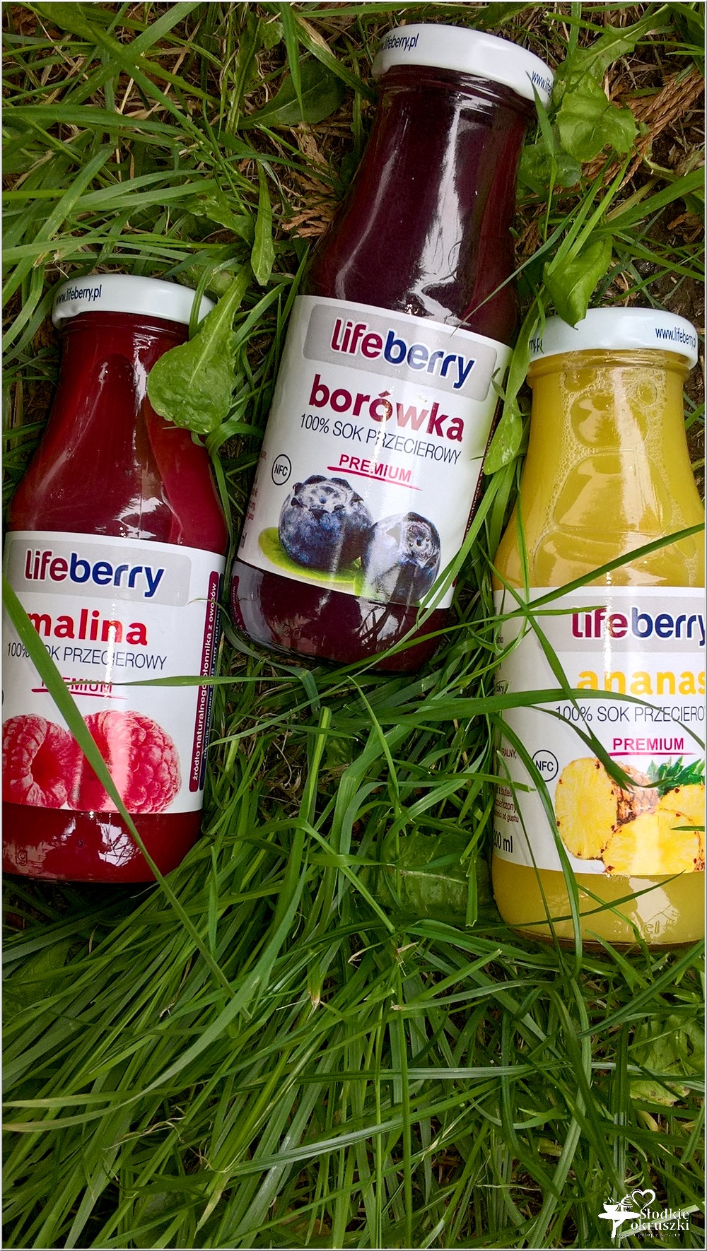 Zdrowo, naturalnie, smacznie. Lifeberry 100% sok przecierowy (1)