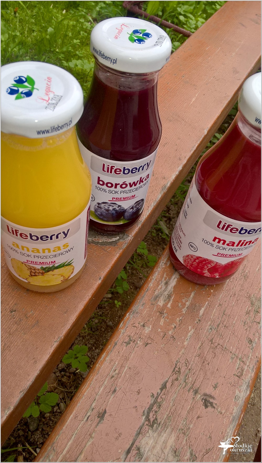 Zdrowo, naturalnie, smacznie. Lifeberry 100% sok przecierowy (6)