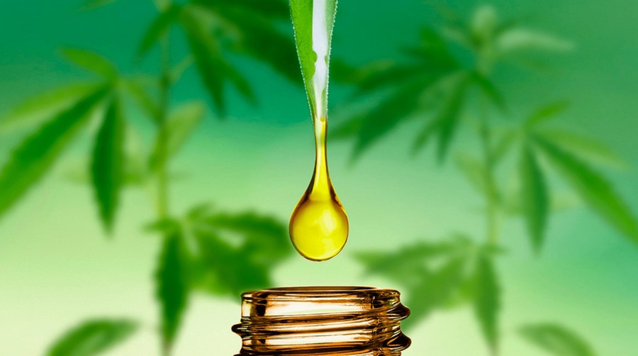 Olej konopny i inne wyroby z konopi siewnych - właściwości i zastosowanie